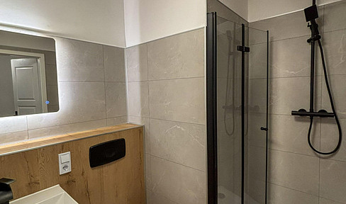 Vacant, renovated investment property in Leipzig-Möckern.