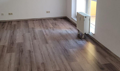 Renovated 1-bedroom apartment, close to Mannheim University.