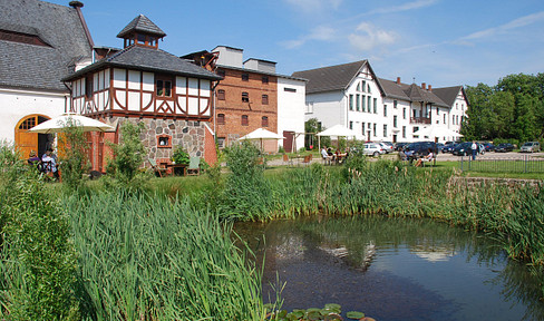 Apartments, Studios, and Lofts for sale, located between Rostock and the Müritz lake (Live in a historic setting, and own your property!)