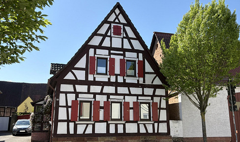 Spacious house with an apartment, barn, and potential building plot near Speyer.