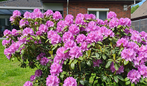 Coastal bungalow on the North Sea: Accessible, fully renovated, and fully furnished.