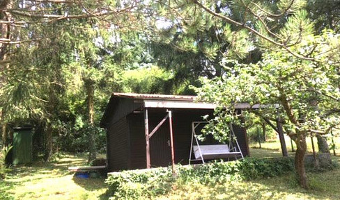 Geplegtes Gartengrundstück mit Gartenhaus