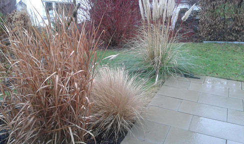 MOVE IN AND FEEL AT HOME: Newly renovated 5-room detached house in a quiet, prime location, suitable for a maximum of 4 people, available from June 1st, 2026.