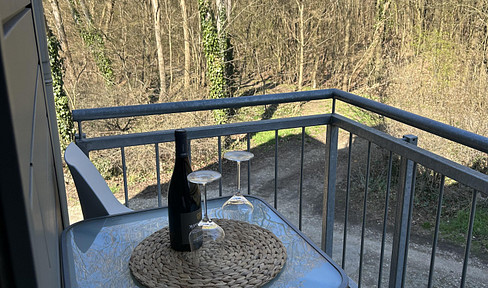 3-room maisonette apartment located right on the edge of the forest in Balkhausen – perfect for dog lovers.