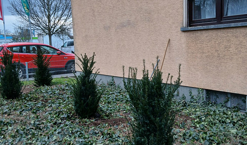 Charmante 3-Raum-Wohnung mit EBK & Balkon