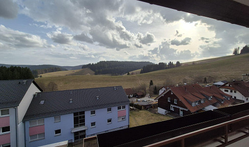 Renovated apartment with a view.