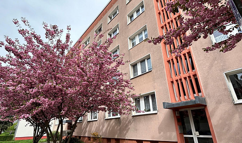 Renovierte und helle 1-Zimmer-Wohnung mit Duschbad