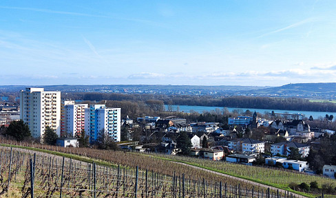 Sanierte, möblierte 1-Zimmer Eigentumswohnung mit Balkon in Geisenheim