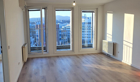 Air-conditioned 2-room apartment with balcony, offering views of the Danube Canal and Kahlenberg, and available without any agency fees.