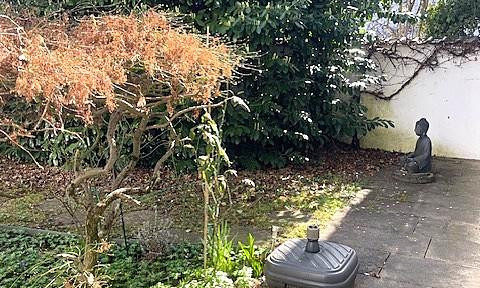 Charming 4-room apartment with a basement level and a lovely atrium garden.