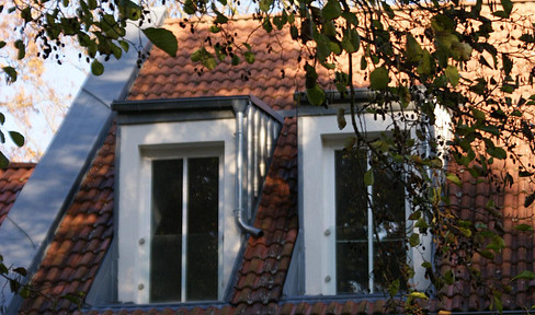ATTIC APARTMENT IN A GREEN SETTING - Available immediately - Suitable for permanent living or as a vacation home.