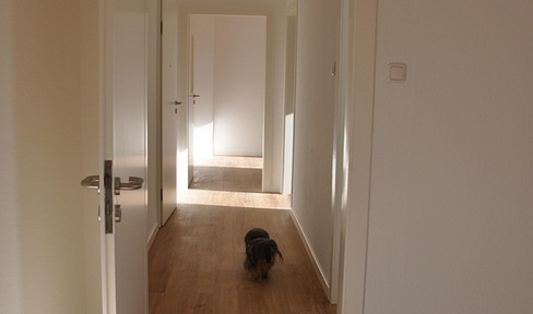 Renovierte, ruhige DG-Wohnung (2 Zimmer) zwischen Rüttenscheid und Klinikum