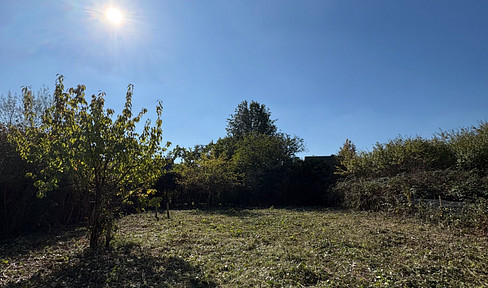 Baugrundstück am Kottenforst: 873 m² mit Süd-/Südwestlage in Bonn-Ippendorf – provisionsfrei