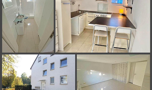 Bright, renovated 1-room apartment with fitted kitchen, located in Bruchköbel, near Hanau/Frankfurt am Main.