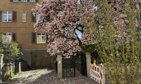 Historische Innenstadtwohnung, Schlossvorstadt, mit Gartenanteil