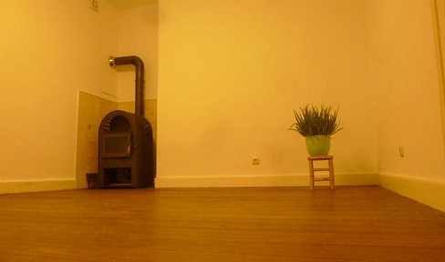 Charming 2-room apartment with a kitchen and bathroom, featuring wooden floors, a private outdoor area, and an internal courtyard.