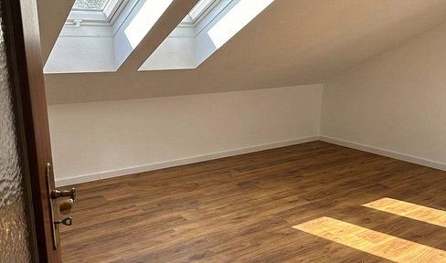 Bright 2-room attic apartment with new vinyl flooring.