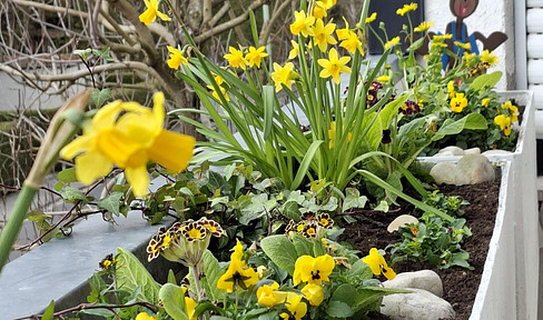 Neuer Job ? Probezeit ? Jetzt frei ist NR-App. für Einzug mit dem Koffer in Friedrichsdorf OT