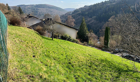 731 m² attractive and fully enclosed plot of land in Schönau - no realtor fees.