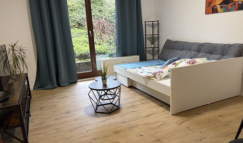 Newly renovated, fully furnished apartment with a terrace and a new kitchen.