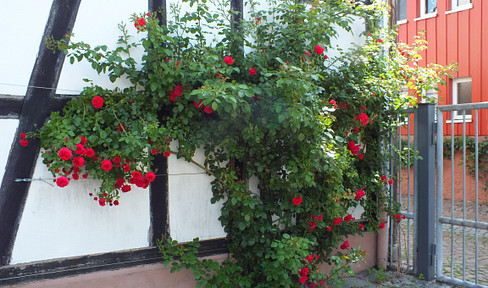 Bright 3-room apartment, 65 square meters, located in Langenselbold.