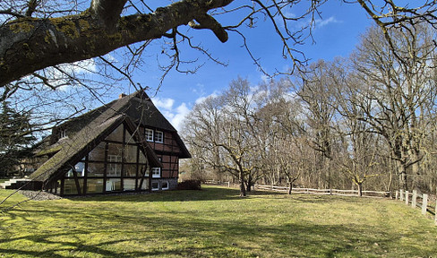 PREIS GESENKT Traumhaus mit Wintergarten unterm Reetdach plus 2,8ha Wald dahinter