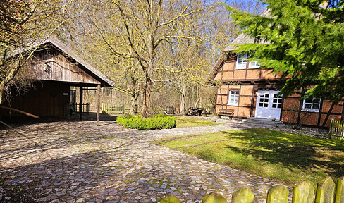 Traumhaus mit Wintergarten unterm Reetdach plus 2,8ha Wald dahinter