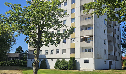 Freshly renovated one-bedroom apartment, ideal for singles.