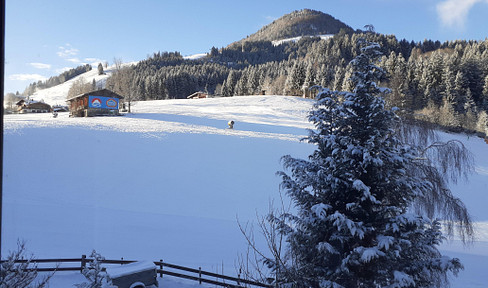 kleines NETT möbliertes 1 Raum Apartment, TOP Lage, direkt an Skiwiese, 100mSkibus, 250m Zentrum