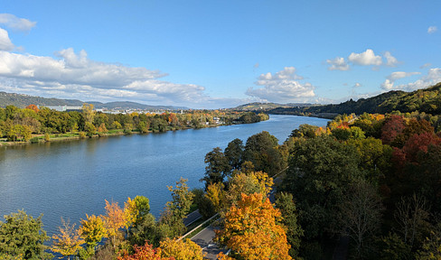 [No fees] Renovated apartment with panoramic views.