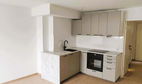 Erstbezug nach Renovierung – Helle 1-Zimmer-Wohnung mit TG-Stellplatz | Top-Anbindung Fürther Straße