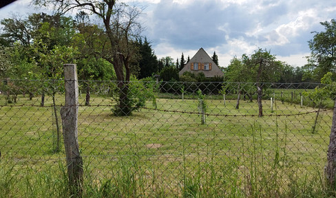 Settler's house on the edge of town.