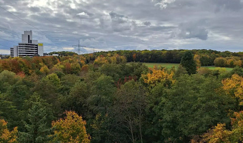 Newly renovated, with no agency fees – 2.5-room apartment with balcony, parking space, and a fantastic location in Schwalbach.