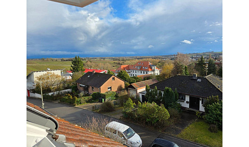 Weintor-Unicorn: 102m² Panorama 🇫🇷 | Haus-Charakter | 2 Bäder + Balkone | 66cm Wand | Garage