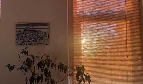 Schöne kleine Altbau Wohnung im 16.