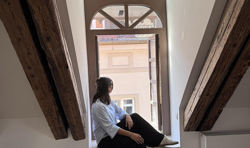 Living above the rooftops of Regensburg - 2 levels.