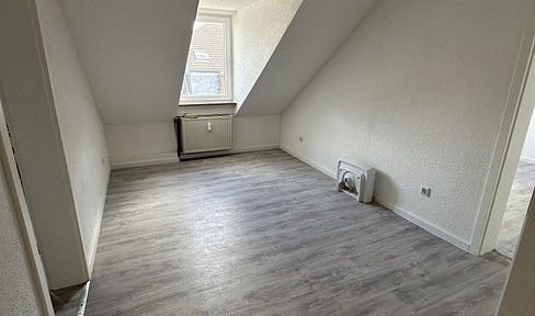 **Freshly renovated 5-room apartment in the attic of a historic building.**