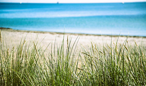 Sea (more) • House • Country • Forest!