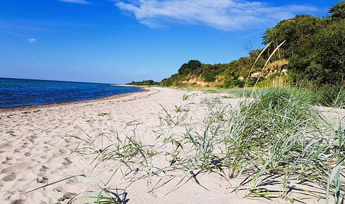 Sea (more) • House • Country • Forest!