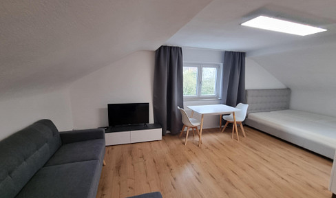Modern, renovated, and furnished one-room apartment in Esslingen-Zollberg (approximately 30 square meters).