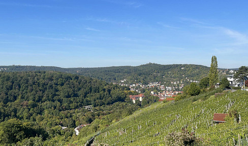 Stadtnah wohnen mit freiem Blick in die Natur