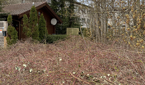 Log cabin-style vacation home for sale due to age, asking €178,000 (negotiable).