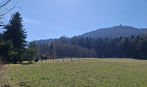 Live where others relax – a house with a view of the Lausche, in a stunning natural setting.