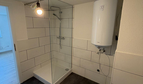 6-room apartment on the 1st floor, newly available after renovation in Langenau Albeck.