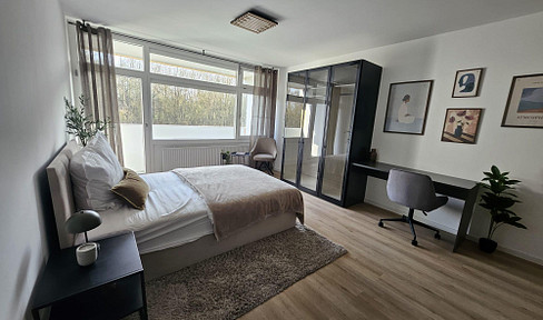 Newly renovated, fully furnished one-bedroom apartment in Mainz-Marienborn.