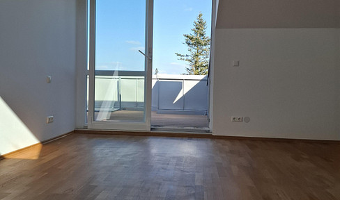 Sunny, commission-free, 3-room penthouse apartment with split-level design and rooftop terraces.