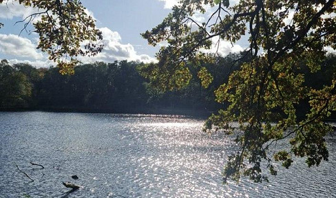 Perfekte 5 Zimmer-Gartenwohnung am Jungfernheidepark direkt vom Eigentümer (provisionsfrei)