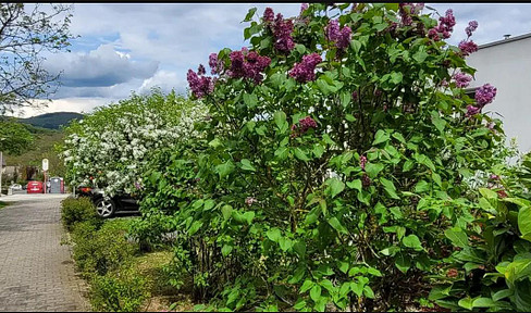 3.5-room apartment with a terrace in the green area of Eppstein, Bremthal.