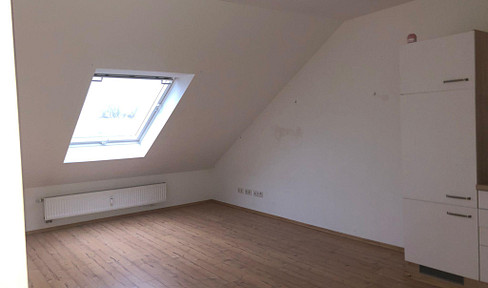 Cozy attic apartment near the zoo.