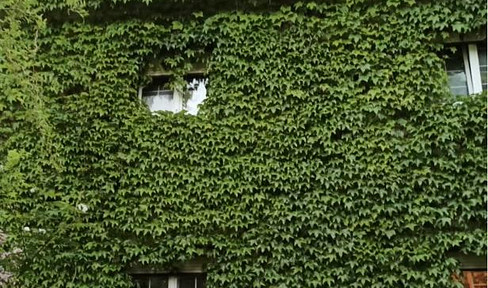 Bestlage - seltene Gelegenheit - Privatverkauf einer Immobilie in Traunstein